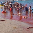 scene plage Piranha