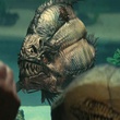 un piranha
