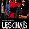 Affiche du film Les Chats persans - Les Chats persans 