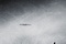affiche teaser am ricaine 4