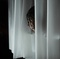bailee-madison-jpg - Don't Be Afraid of the Dark 