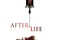 Affiche du film After Life