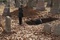 liam-neeson-creuse-jpg
