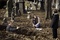 photo-du-film-after-life-jpg