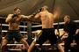 joel-edgerton-en-plein-combat-jpg