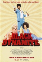 Affiche miniature du film Black Dynamite