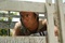 l acteur gael garcia bernal