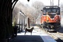 hatchi regardant un train
