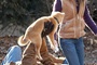 photo Hatchi