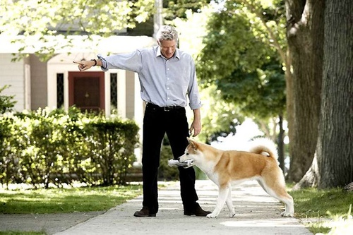 richard gere dressant hatchi