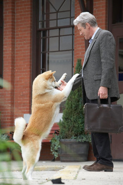 richard gere et hatchi