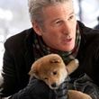 richard gere et son chiot
