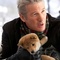 richard gere et son chiot - Hatchi 