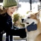 sarah roemer et hatchi - Hatchi 
