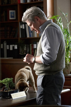 scene du film de Lasse Hallstrom