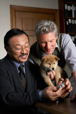 scene du film Hatchi