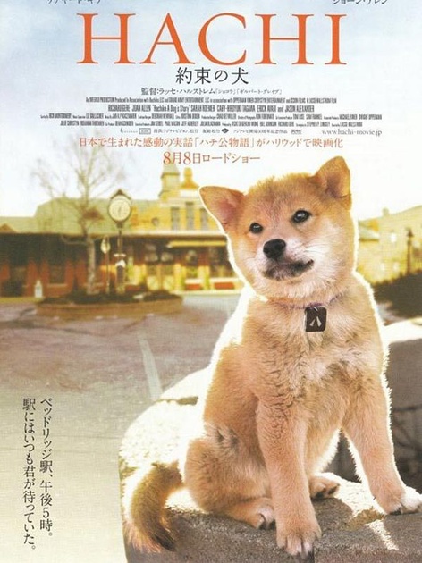 seconde affiche du film hatchi