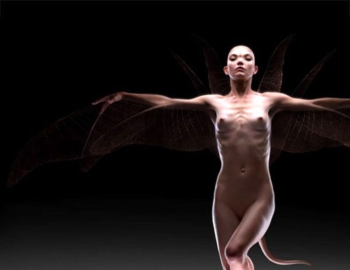 large 456842