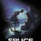 large 483654 - Splice 