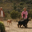john malkovich jessica haines promenant leur chien