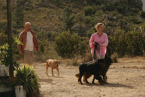 john malkovich jessica haines promenant leur chien
