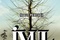 seconde affiche pour ivul