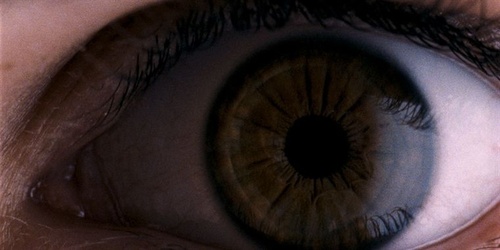 photo 7 du film amer