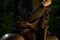 scene Black Death 1