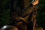 scene Black Death 1