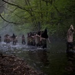 scene black death