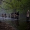 scene black death - Black Death 