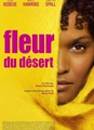 Fleur du désert