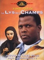 Le Lys des Champs 