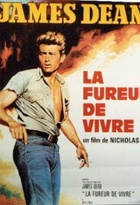 Affiche miniature du film La Fureur de Vivre