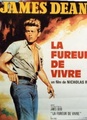 La Fureur de Vivre