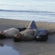 photo 3 du film harragas