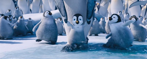 le bébé pingouin du film Happy Feet 2
