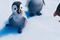 film-d-animation-happy-feet-2-jpg