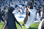 film-de-george-miller-happy-feet-2-jpg
