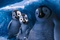 happy-feet-2-6-jpg