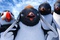 happy-feet-2-la-suite-jpg