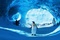 happy-feet-2-la-suite-jpg