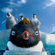 happy-feet-jpg