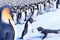 la-suite-de-happy-feet-happy-feet-2-jpg
