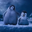 le-film-d-animation-de-george-miller-jpg