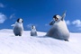 le-film-happy-feet-2-jpg