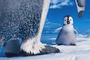 mumble-dans-happy-feet-2-jpg
