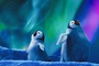 pingouins-qui-chantent-happy-feet-2-jpg