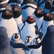 rassemblement-des-pingouins-happy-feet-2-jpg