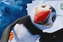 toucan-happy-feet-2-jpg